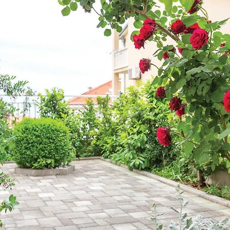 1 Bedroom Beautiful In Apartment Makarska